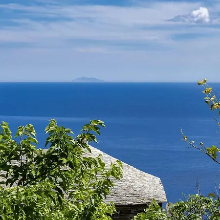 La Bergerie Брандо